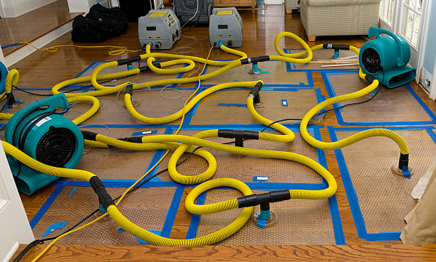 Professional Structural Drying And Dehumidification technician working in Shiocton, WI